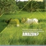 how can one develop 150x150 - How can one develop the rural economy without deforesting the Amazon?